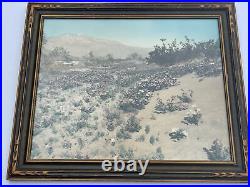 VINTAGE Photograph Painting Antique Desert Landscape Rare EARLY CALIFORNIA