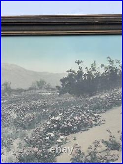 VINTAGE Photograph Painting Antique Desert Landscape Rare EARLY CALIFORNIA