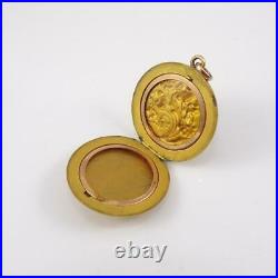 VTG Antique Victorian Gold Filled Picture Locket Art Nouveau Pendant QYF9