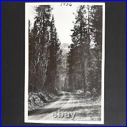 VTG Black & White Photographs Album Collection + Postcards 1936 Travelog Wyoming