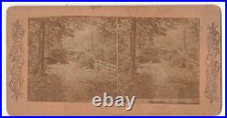 Very Rare! Antique 1860s Lane At Foxworthy Devonshire England Photo Card P034