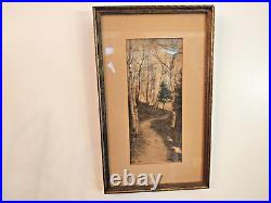 Vintage 1920s Forest Trail Antique Photograph W. H. MANAHAN Copyright Framed