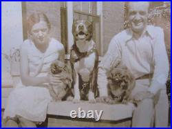 Vintage Antique American Pitbull Terrier Pekingese Paducah Ky Tampa Fl Photos
