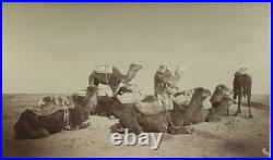 Vintage Antique Photographs Oasis of Biskra Albumen Algeria c. 1870