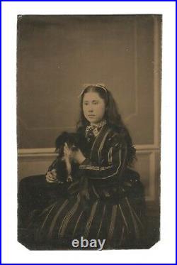 Vintage Antique Tintype Photo Pretty Young Lady Teen Girl with Papillon Toy Dog