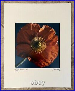 Vintage Bela Kalman Signed Photo Color Print Poppy Flower Boston, 1992
