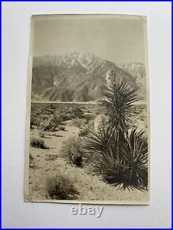 Vintage Photograph Painting Antique Desert Landscape 1930'S Desert Palms Colored