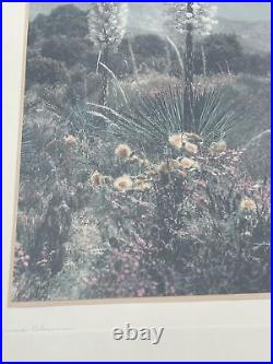 Vintage Photograph Painting Antique Desert Landscape 1930'S Desert Yucca Listed