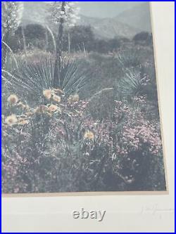 Vintage Photograph Painting Antique Desert Landscape 1930'S Desert Yucca Listed