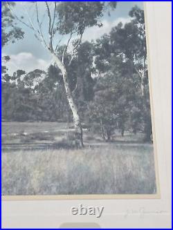 Vintage Photograph Painting Antique Landscape 1930'S California Eucalyptus Rare
