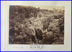 Vintage Photographs Antique Album 1885 Orientalism, Biskra, Algeria, Landscape