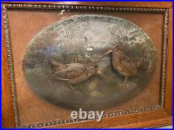 Vtg Antique Taxidermy Woodcock Birds in Glass Dome Large Rare Victorian Picture