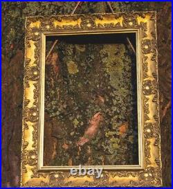 WIDE Ornate Shabby Chic Antique swept Picture frame photo frame Gold /MUSE